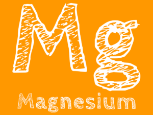 Lire la suite à propos de l’article Focus sur le Magnésium